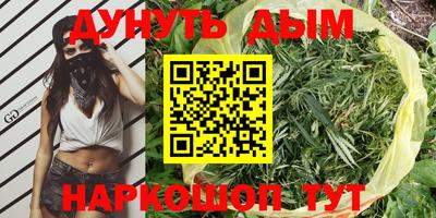 кокс Нальчик