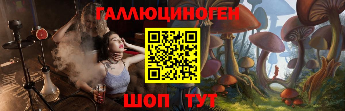 Галлюциногенные грибы мицелий Улан-Удэ