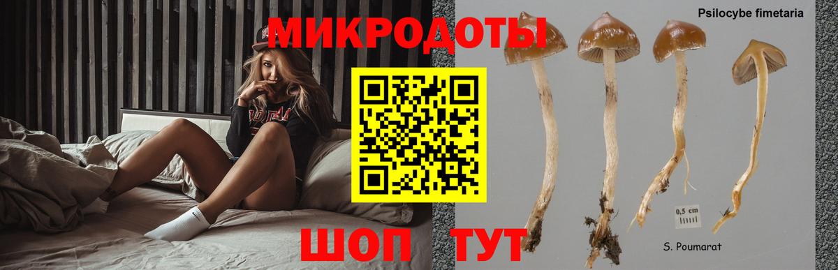 Галлюциногенные грибы мицелий  Вход с VPN  Улан-Удэ 